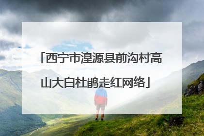 西宁市湟源县前沟村高山大白杜鹃走红网络