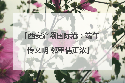 西安浐灞国际港：端午传文明 邻里情更浓