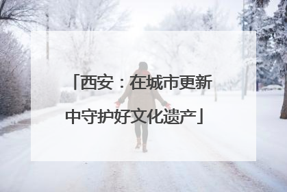 西安：在城市更新中守护好文化遗产