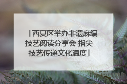 西夏区举办非遗麻编技艺阅读分享会 指尖技艺传递文化温度