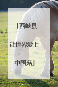 西峡县 让世界爱上中国菇
