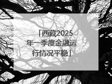 西藏2025年一季度金融运行情况平稳
