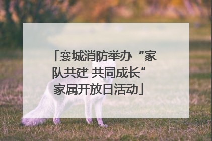 襄城消防举办“家队共建 共同成长”家属开放日活动
