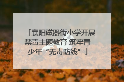 襄阳磁器街小学开展禁毒主题教育 筑牢青少年“无毒防线”