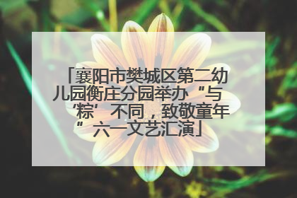 襄阳市樊城区第二幼儿园衡庄分园举办“与‘粽’不同，致敬童年”六一文艺汇演