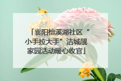 襄阳檀溪湖社区“小手拉大手”洁城靓家园活动暖心收官