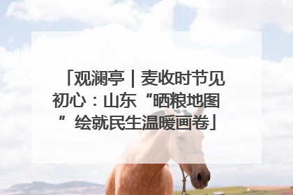 观澜亭｜麦收时节见初心：山东“晒粮地图”绘就民生温暖画卷