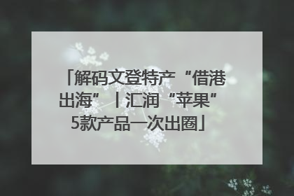 解码文登特产“借港出海”丨汇润“苹果”5款产品一次出圈