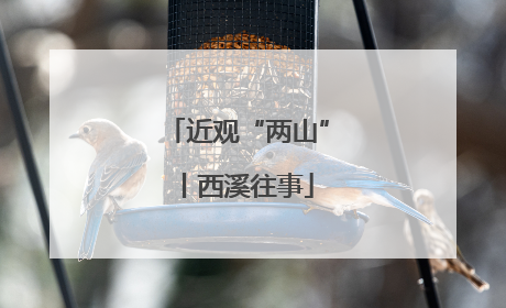 近观“两山”丨西溪往事