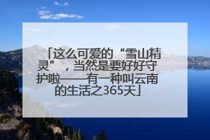 这么可爱的“雪山精灵”，当然是要好好守护啦——有一种叫云南的生活之365天