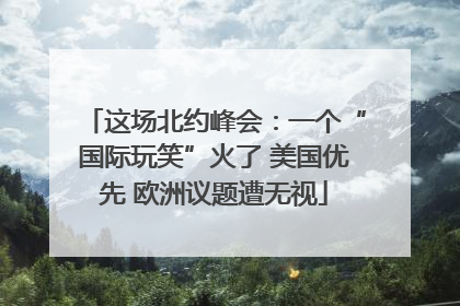 这场北约峰会：一个“国际玩笑”火了 美国优先 欧洲议题遭无视