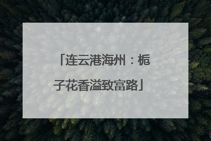 连云港海州：栀子花香溢致富路