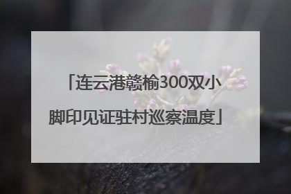 连云港赣榆300双小脚印见证驻村巡察温度