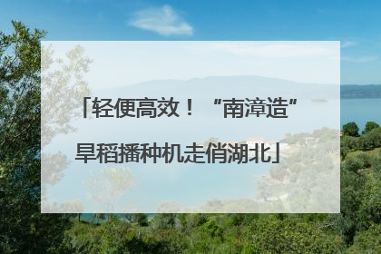 轻便高效！“南漳造”旱稻播种机走俏湖北