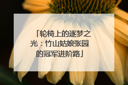 轮椅上的逐梦之光：竹山姑娘张园的冠军进阶路