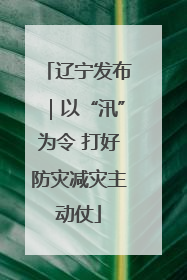 辽宁发布｜以“汛”为令 打好防灾减灾主动仗