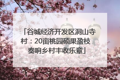 谷城经济开发区洞山寺村：20亩桃园硕果盈枝 奏响乡村丰收乐章