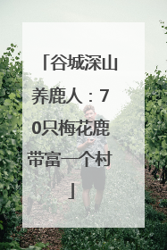 谷城深山养鹿人：70只梅花鹿带富一个村