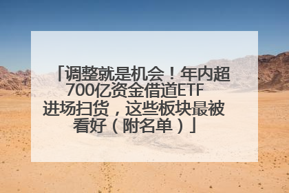 调整就是机会！年内超700亿资金借道ETF进场扫货，这些板块最被看好（附名单）