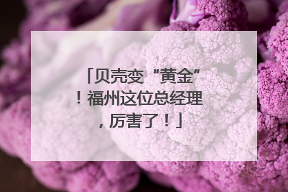 贝壳变“黄金”！福州这位总经理，厉害了！