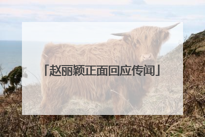 赵丽颖正面回应传闻