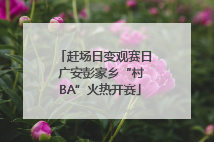 赶场日变观赛日 广安彭家乡“村BA”火热开赛