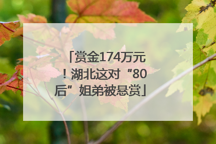 赏金174万元！湖北这对“80后”姐弟被悬赏