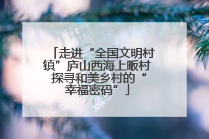 走进“全国文明村镇”庐山西海上畈村 探寻和美乡村的“幸福密码”