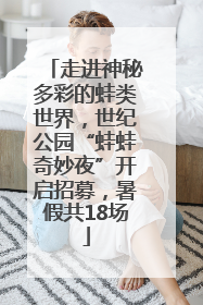 走进神秘多彩的蛙类世界，世纪公园“蛙蛙奇妙夜”开启招募，暑假共18场