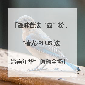 趣味普法“圈”粉，“椿光·PLUS 法治嘉年华”嗨翻全场