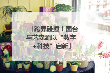 跨界碰撞！国台与艺森源以“数字+科技”启新