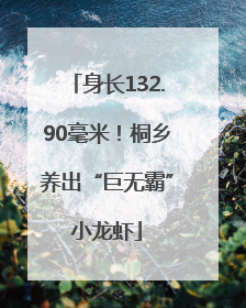 身长132.90毫米！桐乡养出“巨无霸”小龙虾