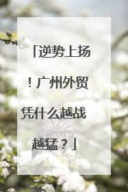 逆势上扬！广州外贸凭什么越战越猛？