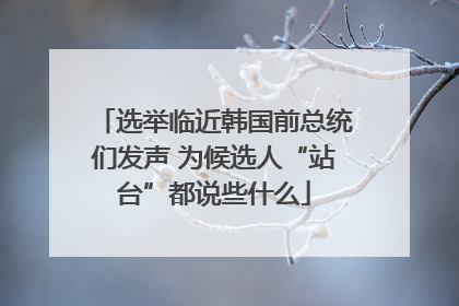 选举临近韩国前总统们发声 为候选人“站台”都说些什么