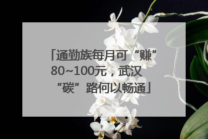 通勤族每月可“赚”80~100元，武汉“碳”路何以畅通