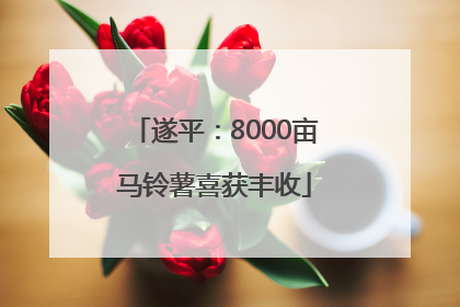 遂平：8000亩马铃薯喜获丰收