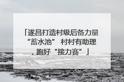 遂昌打造村级后备力量“蓄水池” 村村有助理，跑好“接力赛”