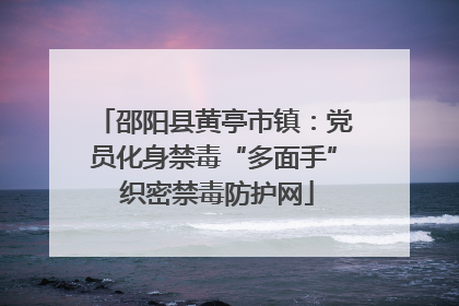 邵阳县黄亭市镇：党员化身禁毒“多面手” 织密禁毒防护网