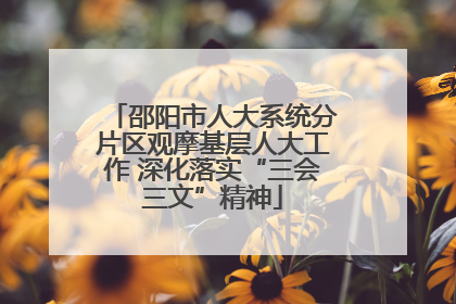 邵阳市人大系统分片区观摩基层人大工作 深化落实“三会三文”精神