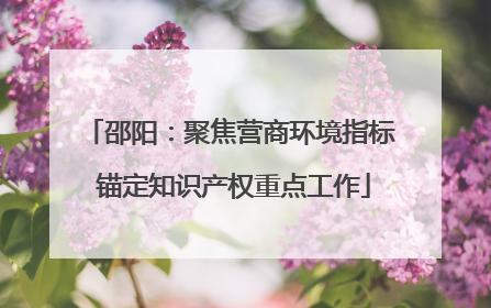 邵阳：聚焦营商环境指标 锚定知识产权重点工作