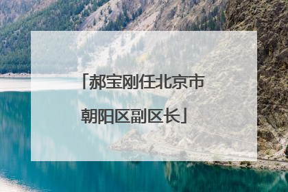 郝宝刚任北京市朝阳区副区长
