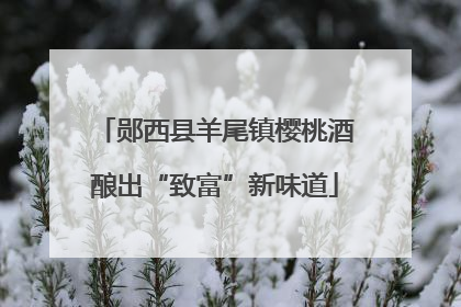 郧西县羊尾镇樱桃酒酿出“致富”新味道