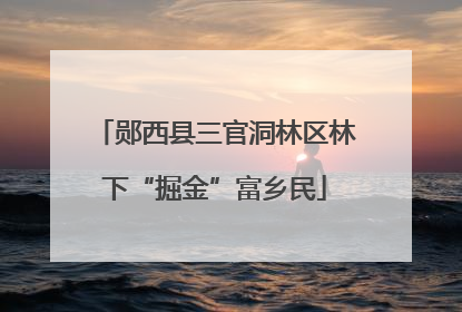 郧西县三官洞林区林下“掘金”富乡民