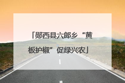 郧西县六郎乡“黄板护椒”促绿兴农