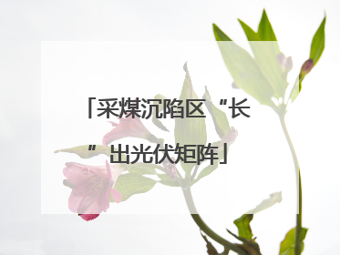 采煤沉陷区“长”出光伏矩阵