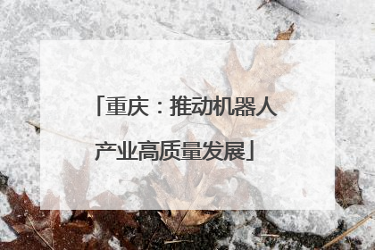 重庆：推动机器人产业高质量发展