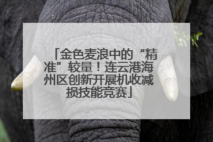 金色麦浪中的“精准”较量！连云港海州区创新开展机收减损技能竞赛