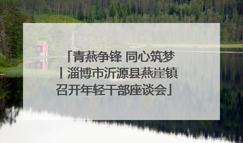 青燕争锋 同心筑梦丨淄博市沂源县燕崖镇召开年轻干部座谈会