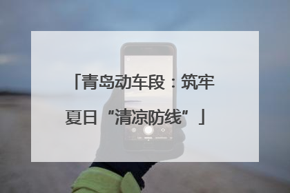 青岛动车段：筑牢夏日“清凉防线”