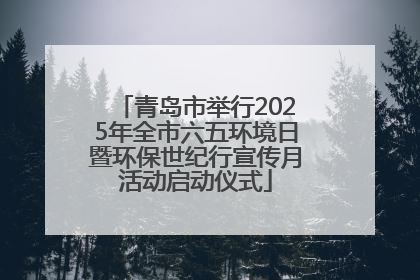 青岛市举行2025年全市六五环境日暨环保世纪行宣传月活动启动仪式